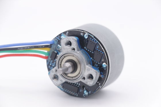 DBL3830O มอเตอร์ 12v 3500rpm 38mm Outrunner มอเตอร์ไร้แปรงสําหรับปืนนวดขนาดเล็ก