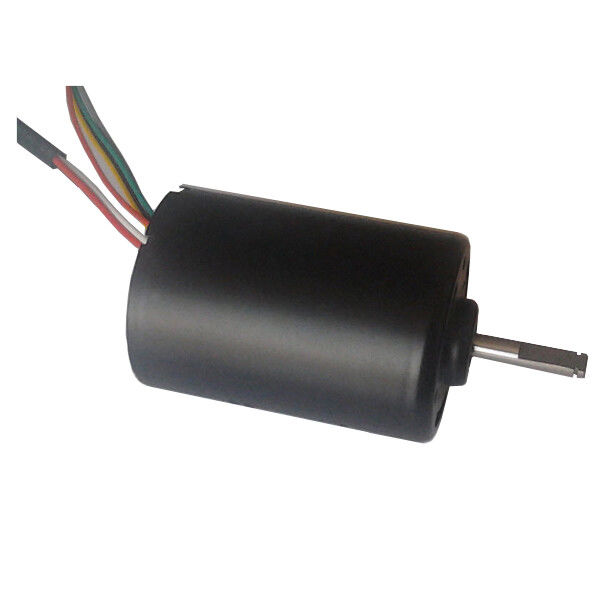 DBL4260 30W ทอร์คสูง DC มอเตอร์ไร้แปรง ปั๊มน้ํา 24 วอลต์ BLDC มอเตอร์